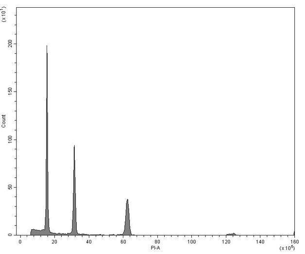 MagnetDNA